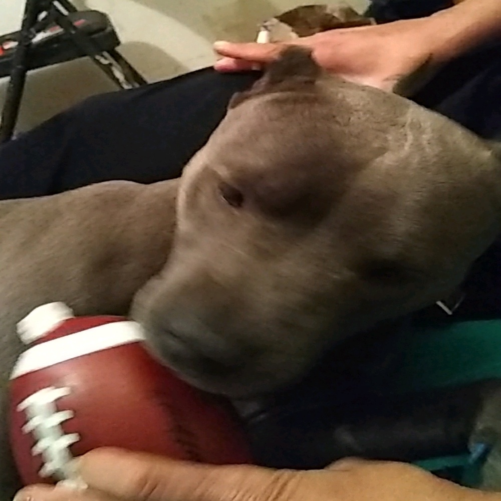 Meet your Posher, Kelley